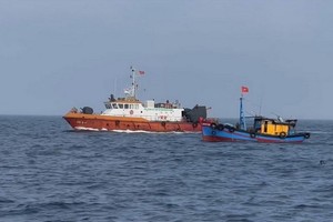 解除IUU"黄牌"警告：广治省严禁不合规渔船出海