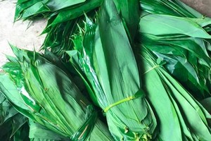 竹叶成为创汇数百万美元的出口产品。