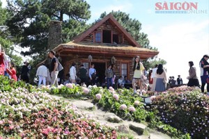 许多游客选择大勒作为2026年元旦假期的避暑目的地。 