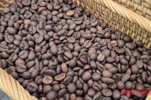 近期咖啡价格鲜有剧烈波动。