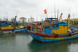 不符合作业要求的渔船不许出海捕捞。