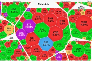 VN-Index下跌近30点。