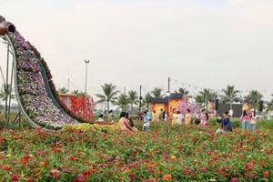 花田吸引众多人群前来拍照。