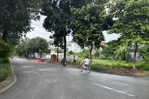  胡志明市平兴乡13C居民区。