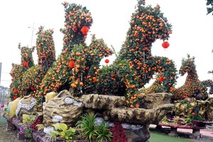 兴安省米处乡兴心园艺户创作的作品《马到成功》，造型为8匹骏马飞奔向前。