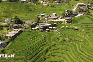 力争建设现代化、富有特色且可持续发展的新农村。