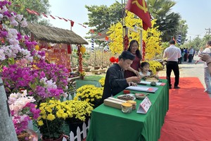 民众参观平利黄梅花街开幕仪式。