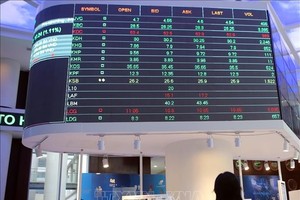 2026年1月越南向368名外国投资者发放证券交易代码