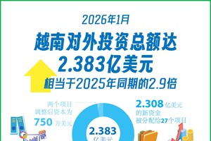 2026年1月：越南对外投资额达到2.383亿美元