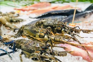 越南虾出口迎来“双重利好”