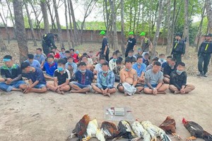 在现场抓获的对象和赃物。