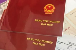 教育与培训部部长刚签发关于颁布国民教育体系文凭、证书规制的2026年第10号《通知》。