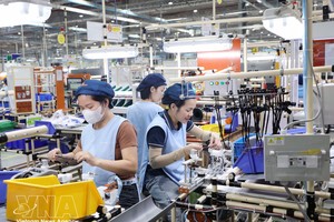 适应全球规则 越南吸引外资迈向高质量