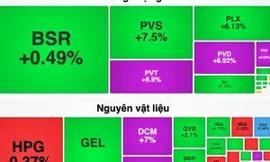  石油、化肥板块股票强势上涨