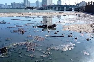 陈富桥北面公园区域未经处理排入海中的污水。