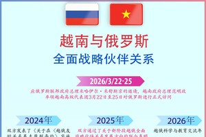 越俄全面战略伙伴关系