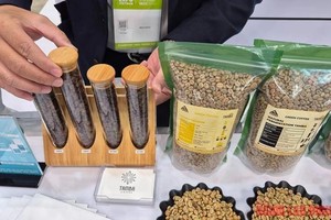 国内咖啡价格徘徊在每公斤10万元以下。