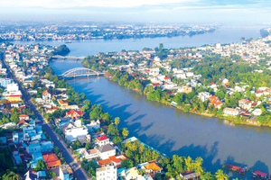 同奈力争成为中央直辖市。图：互联网。