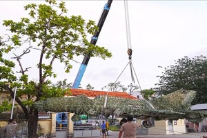 被“遗忘”近40年的米格-21战斗机被成功迁移，为未来的保存工作营造更好条件。