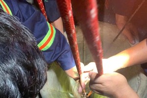 嘉莱省公安厅消防与救援警察力量及时营救坠入深井的一名女子。