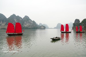 下龙湾与兰夏湾跨遗产区海上旅游线路正式开通。