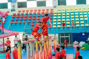 胡志明市龙狮团比赛前夕在大勒进行训练。