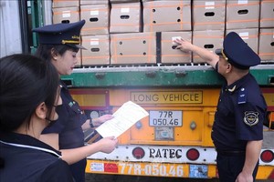 老街海关检查通过老街省金城陆路国际口岸进口的货物。