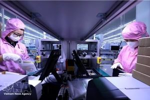 在半导体领域，越南设定了到2030年培养500名博士研究生的目标。