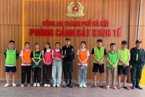 非法收集个人信息以开设银行账户并获取非法利益的9名嫌犯。