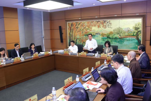 国会代表分组讨论关于越南文化发展的决议草案。