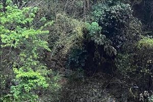 交通事故现场。图：越通社