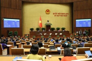  国会通过关于成立同奈市的决议。图：光福