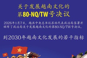 关于发展越南文化的第80号《决议》：到2030年越南文化发展的若干指标 