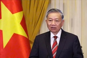 越南党中央总书记、国家主席苏林。