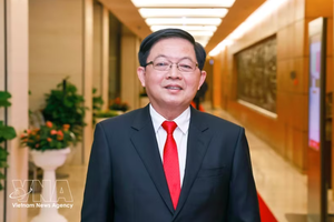 政府副总理胡国勇担任中央指导委员会主任。
