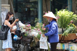 北部、中部北面和中区白天晴朗，若干地方有高温天气。