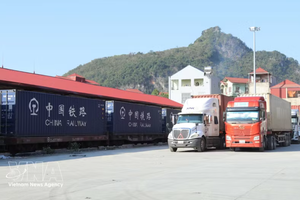 通过谅山省同登国际铁路站口岸的进出口货物运输车辆。图自越通社