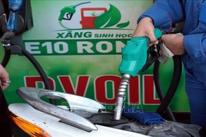 E10生物汽油在PVOIL的一处燃油经营点出售。图：陈越/越通社。