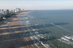 胡志明市头顿坊后滩全景。图：黄山/越通社