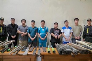 由林碧蓉为首的黑社会犯罪团伙落网。图：胡志明市公安厅。