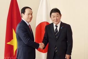 越南政府副总理黎进珠会见日本外务大臣茂木敏充。