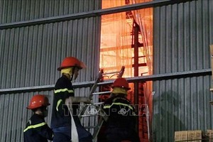 大火发生在越南全盛鞋机自动化一成员有限责任公司二楼仓库存放鞋类区域，故消防力量难以接近。
