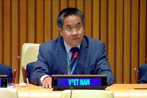 越南常驻联合国代表团副团长阮海流公使。图自越通社