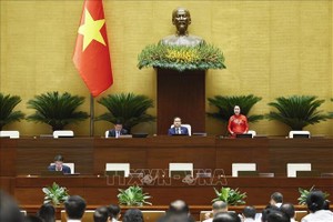 国会副主席阮氏清发表讲话。图：尹晋/越通社