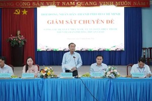 胡志明市人民议会副主席黄青仁在监察会上发表讲话。图：功名