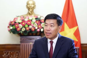 党中央委员、外交部党委常务副书记、外交部副部长阮孟强。图自越通社