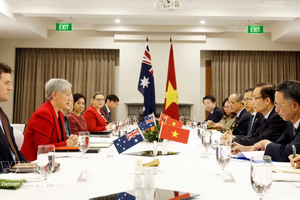越南与澳大利亚第八次外长会议在堪培拉召开。图自越通社