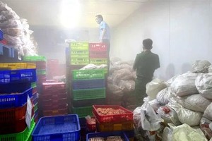 职能力量在同奈市某企业仓库检查冷冻鸡爪。图：同奈市场管理
