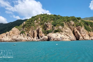 芽庄旅游的魅力在于其海湾的秀美风光。图自越通社