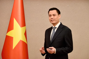 越南外交部副部长邓黄江。图自外交部